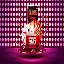Studio Live Casino bot77 dengan pencahayaan profesional dan dealer berpengalaman siap melayani pemain